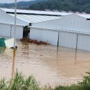 노재인농장 이미지