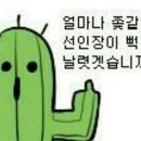 역사보고 배우고 이미지