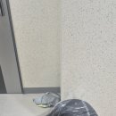 유모차세탁 카시트세탁 전문점 더깨끗 이미지