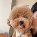 수원종합동물병원 이미지