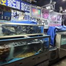 금보횟집 | 창원 금보횟집ㅣ대방동 회포장 맛집 추천