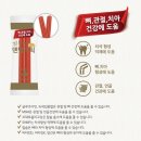 렉스덴탈 이미지
