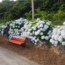 수망관광휴양펜션 이미지