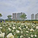 삼문동둔치주차장 이미지