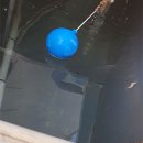 오투버블