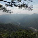 매봉산 티스토리