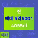 아산공인중개사사무소 이미지