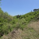 미현리농장 이미지