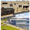 혁신목장 이미지