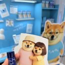 이니스프리 | 홍대 올리브영 이니스프리 뚱시바 팝업 후기, 레티놀 앰플 득템