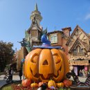 매직카월드 | [공지] 91cm 30개월 아기와 경주월드 할로윈 정복! 코스튬 50% 할인 꿀팁대방출