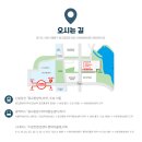 동반자 | 파충류 동반자 — 수원 파충류 박람회 기대 후기