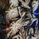 둘레길펜션 이미지