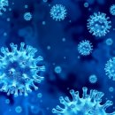 재민농장 이미지