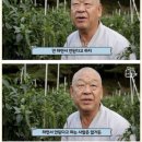 황금손 이미지
