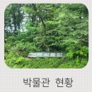 정무문중국문화예술원 | 나무인가 예술인가? 서울 분재 박물관 무료 관람 마지막 기회