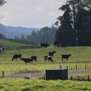 소선명농장 이미지