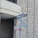 (주)제주신화항공여행사 | 제주도 서귀포 신화월드 서머셋 제주신화빌라스 3박 숙박 후기와 사계해변