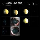 샤인아이안과동물병원 이미지