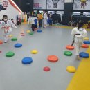 용인대 튼튼 태권도장 이미지