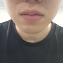 불독 | 절삭력 좋은 면도기 불독 대나무 알로에 면도기 사용후기