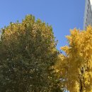 황금콩손두부 | 서울두부맛집 미쉐린가이드 마포 황금콩밭 후기