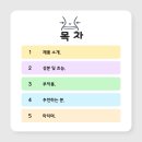 쓰리데이즈 | 분홍이 초록이 쓰리데이즈 후기 부작용 내돈내산