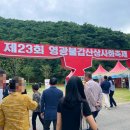 [공지] 전남 영광 상사화 축제 후기 | 입장료 무료사진인화 비눗방울쇼