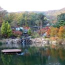 소나무리조트 이미지