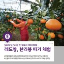 정석원농원