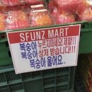대충 사는 법도 생각보다 어렵다.