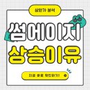 주식회사 썸에이지 이미지