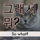 [뭐라도학교] 월담 2월 | {2월 첫째 주} 얼마 남지 않은 저 finish line