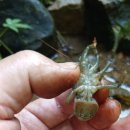 두메산골 민박 이미지