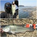 남양호 상류 이미지