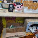 서귀포오일시장-사무실 | 제주 서귀포 매일 올레시장 오메기떡, 거부기밥, 먹거리 추천올레야시장 솔직후기