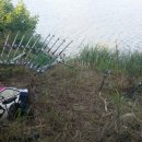 장모사랑 이미지