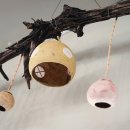 효영농장 이미지