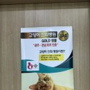 사랑채도너츠카페 이미지