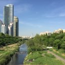 개포소망공인중개사사무소 이미지