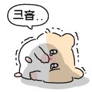 탄성한우 이미지