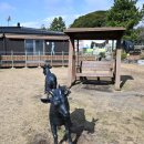 남원읍-97 이미지