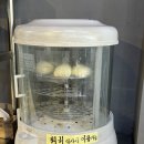 천유향마라훠궈&마라샹궈마라탕