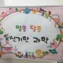 이화유치원 이미지