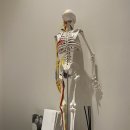 Relieve(릴리브) | [망월동필라테스] 릴리브필라테스에서 전문적인 1인 맞춤케어 가능한 개인레슨 방문후기