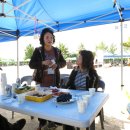 양천초교 이미지