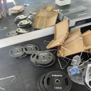 이태원 MMA 복싱 이미지