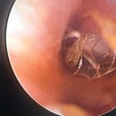 다올동물의료센터 망포점 이미지