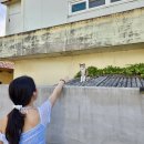 속삭이는 민박 이미지