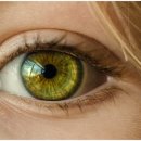 다미의원 이미지